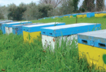 Άγρια Μέλισσα - Μελισσοκομική Επιθεώρηση