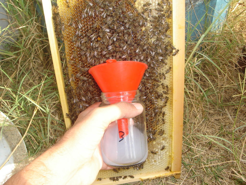 Εικ. 1. Με ένα μικρό χωνί διευκολύνεται σημαντικά η συλλογή των μελισσών