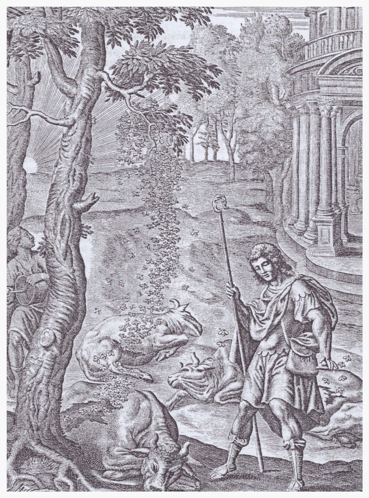 Φανταστική απεικόνιση βουγονίας σε έργο του 18ο αιώνα