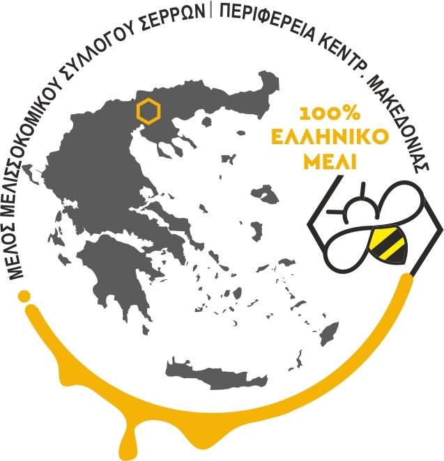 Εικον.-4-